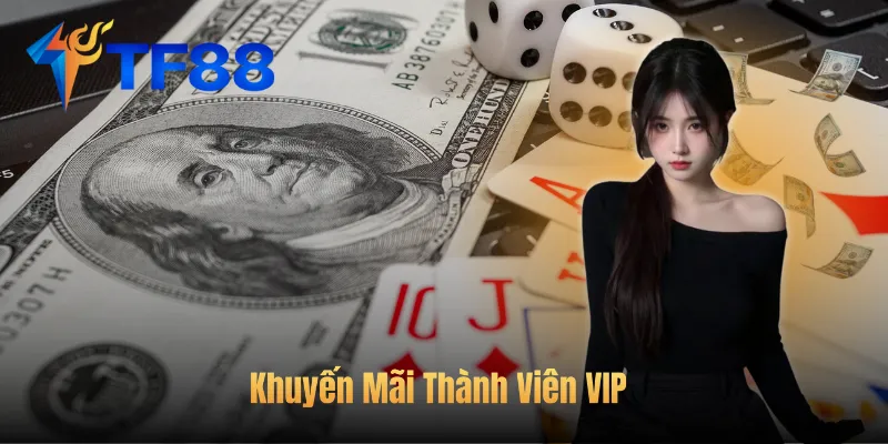 Khuyến Mãi Thành Viên VIP