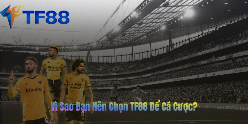 Vì Sao Bạn Nên Chọn TF88 Để Cá Cược?