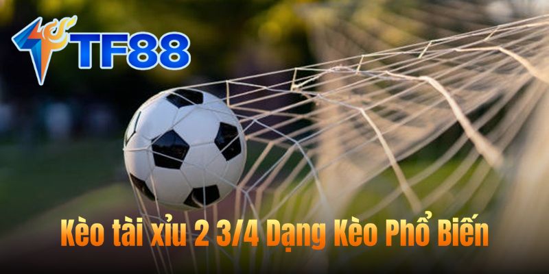 Kèo Tài Xỉu 3/4: Mẹo Giúp Tăng Tỉ Lệ Chiến Thắng