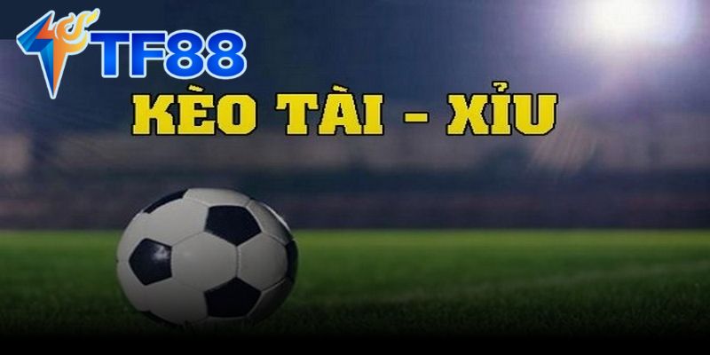 Theo Dõi Các Đội Bóng Có Lối Chơi Tấn Công Mạnh
