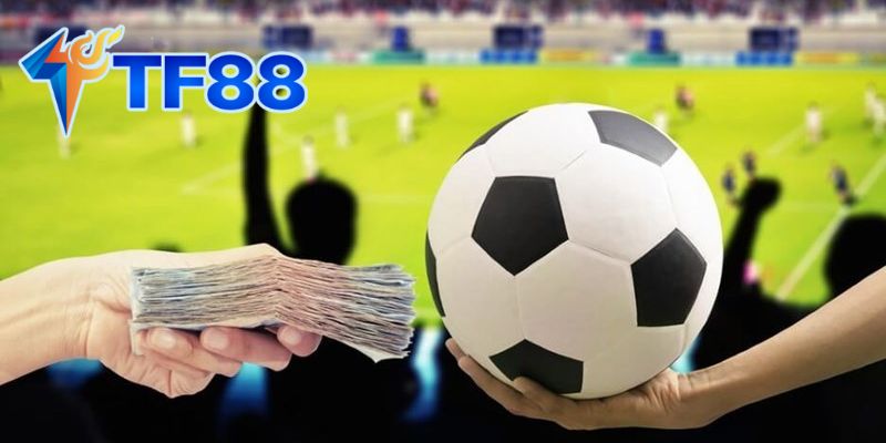 Mẹo chơi kèo tài xỉu 3/4 hiệu quả