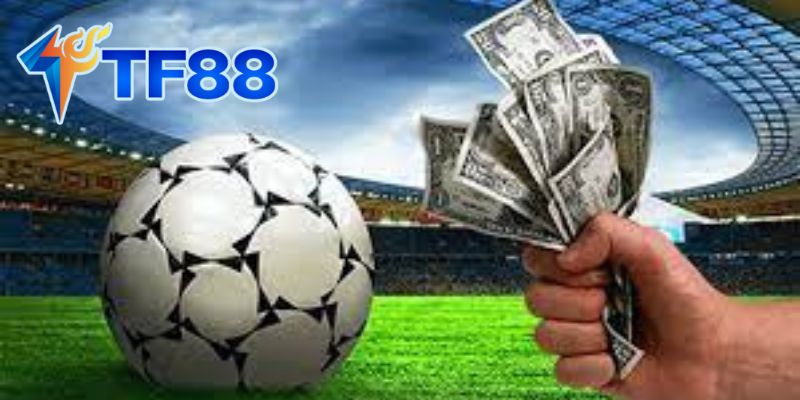 Các Bước Cơ Bản Khi Soi Kèo Bóng Đá