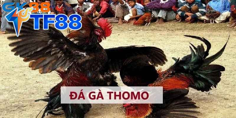 1. Sự Kết Hợp Giữa Thể Thao Và Cá Cược