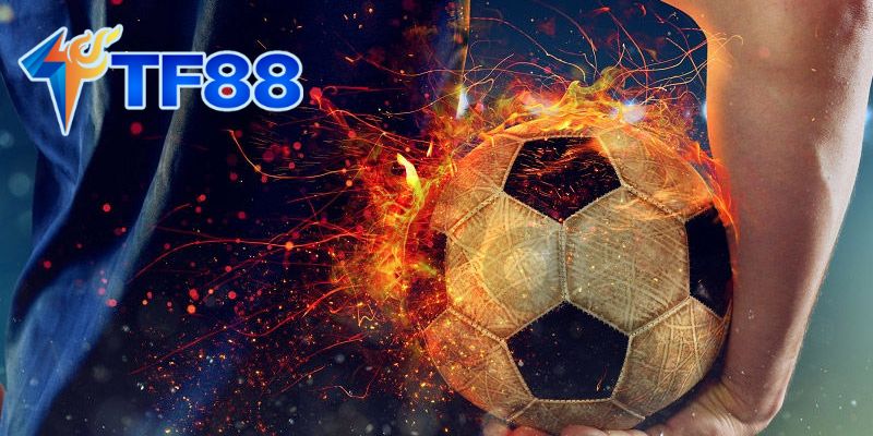 Xem Xét Thời Tiết Và Điều Kiện Sân Bãi