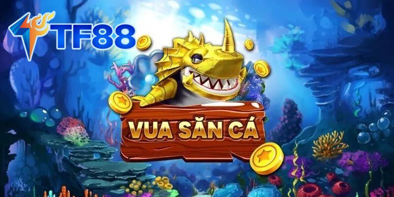 Vua Săn Cá - Cơ Hội Kiếm Tiền Thật
